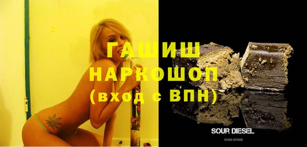 индика Новодвинск