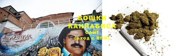 индика Новодвинск