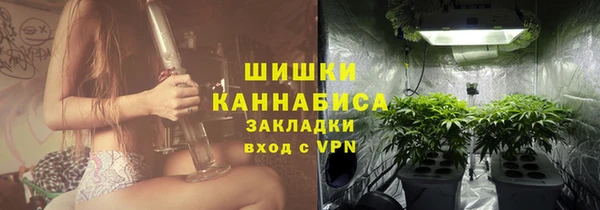 индика Новодвинск