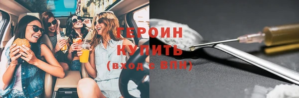 индика Новодвинск