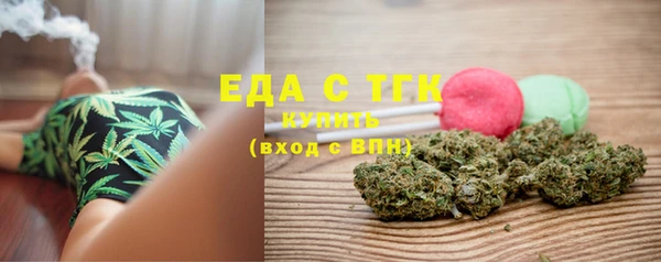 индика Новодвинск