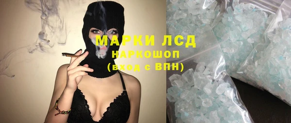 индика Новодвинск