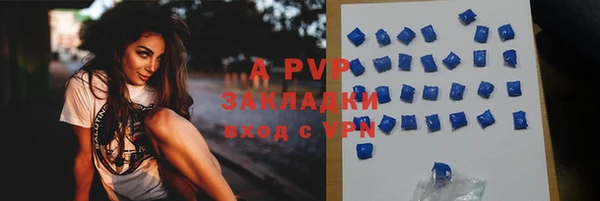 индика Новодвинск