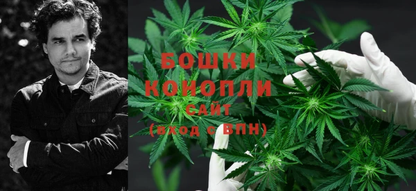 первитин Бикин