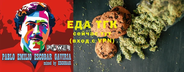 индика Новодвинск