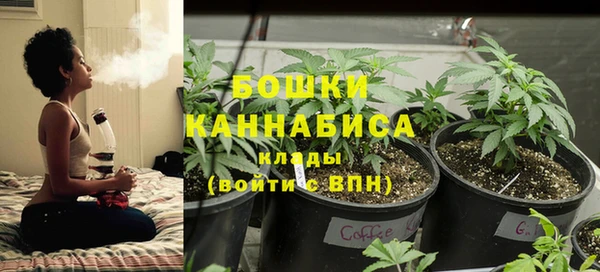 дурь Белая Калитва