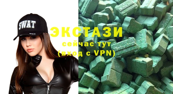 индика Новодвинск