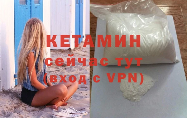 индика Новодвинск