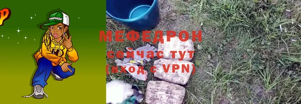 индика Новодвинск