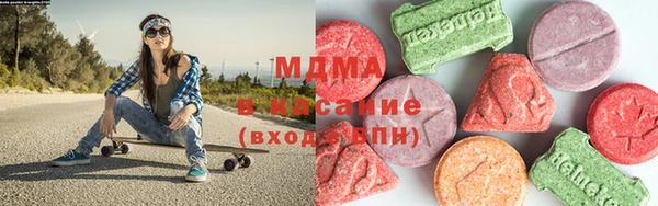 индика Новодвинск