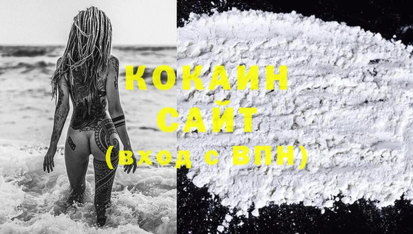 индика Новодвинск