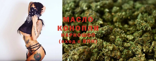 индика Новодвинск