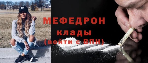 индика Новодвинск