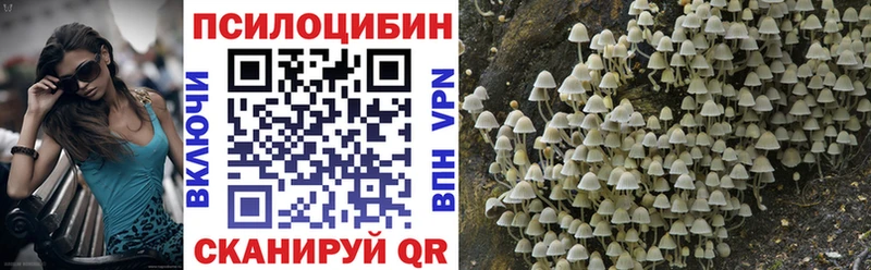 Галлюциногенные грибы MAGIC MUSHROOMS  купить  сайты  Кимры 