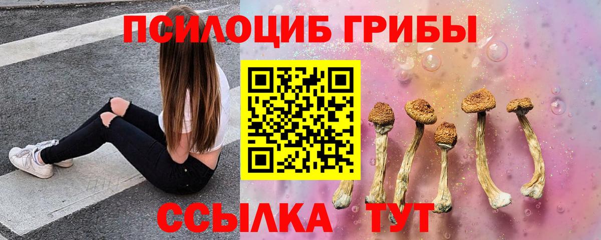 Псилоцибиновые грибы ЛСД Кимры